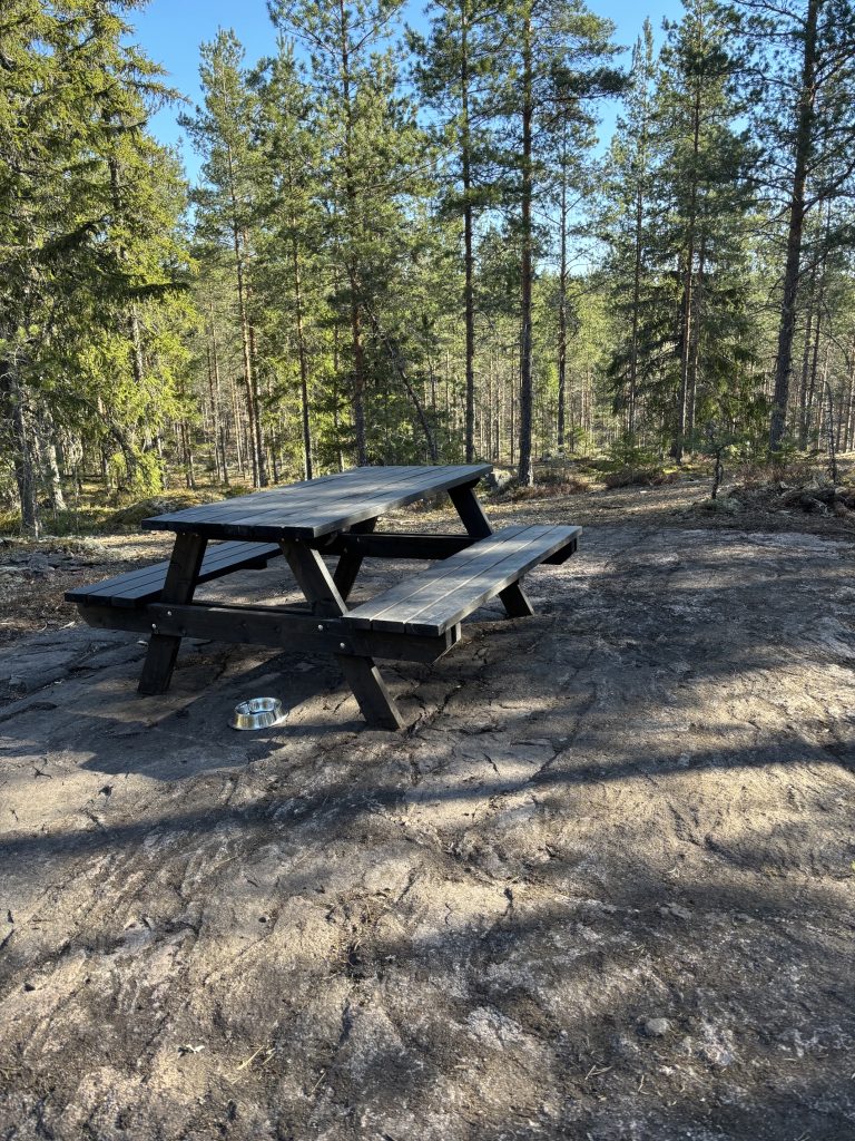 Koirametsä Rymy Salo rymymetsa