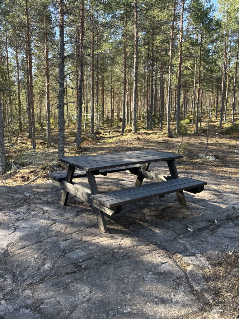 Koirametsä Rymy Salo rymymetsa